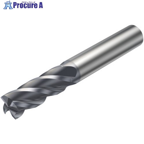 SANDVIK コロミルプルーラ 重切削フライス加工用超硬エンドミル(730) P2BM 2P342-0476-PA P2BM 1個 ■▼580-9307 【送料都度見積】 ●KO521