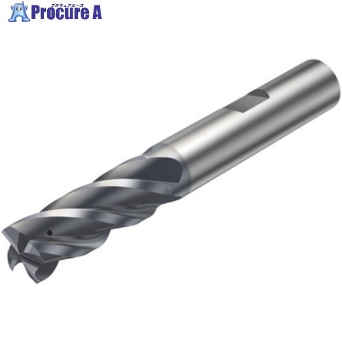SANDVIK コロミルプルーラ 重切削フライス加工用超硬エンドミル(730) M2CM 2S342-1200-050CMB  M2CM 1個 ■▼581-0961 【送料都度見積】 ●KO521