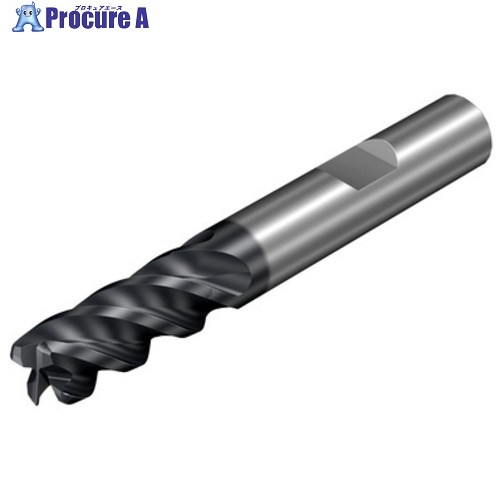 SANDVIK コロミルプルーラ 重節するフライス製造用超硬エンドミル(730) P2BM 2S342-1000-200-PB  P2BM 1個 ■▼581-1016 【貨物輸送都度積もり書き】 ●KO521 切削・研削工具用アクセサリー-花・ガーデン・DIY-DIY・工具