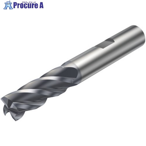 SANDVIK コロミルプルーラ 重切削フライス加工用超硬エンドミル(730) P2BM 2P342-1270-PB P2BM 1個 ■▼581-4093 【送料都度見積】 ●KO521