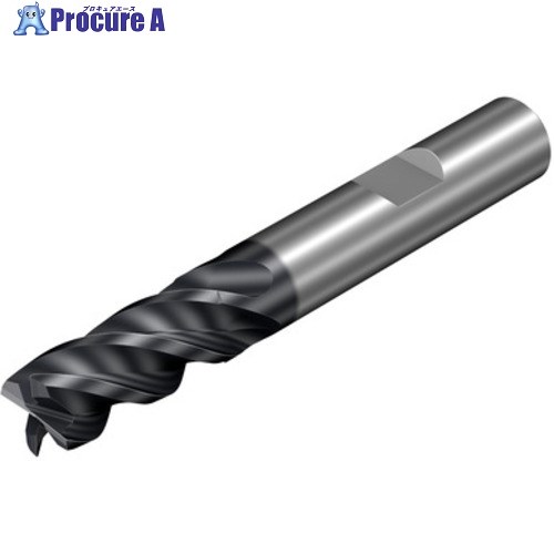 SANDVIK コロミルプルーラ 重節するフライス製造用超硬エンドミル(730) M2コマーシャル 2P342-1000-MB  M2コマーシャル 1個 ■▼581-4104 【貨物輸送都度積もり書き】 ●KO521 エンドミル-電動・エア工具用アクセサリー-DIY・工具