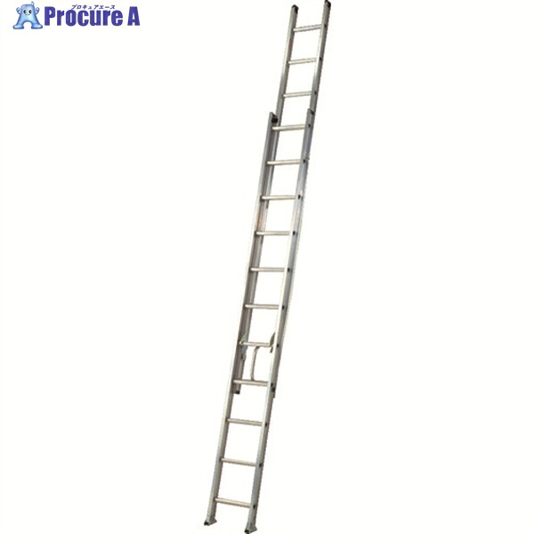 PiCa 2連掛けはしごアルフ2ALF型 6.6m 2ALF-66 1台 ■▼242-9730 ※車上乗り合い船