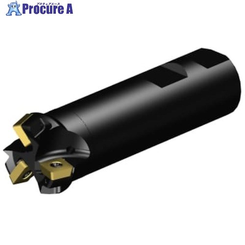 SANDVIK コロミル495 面取りミリングカッター(440) A495-026M25-7509H (440) 1台 ■▼313-1087 【貨物輸送都度積もり書き】 ●KO521