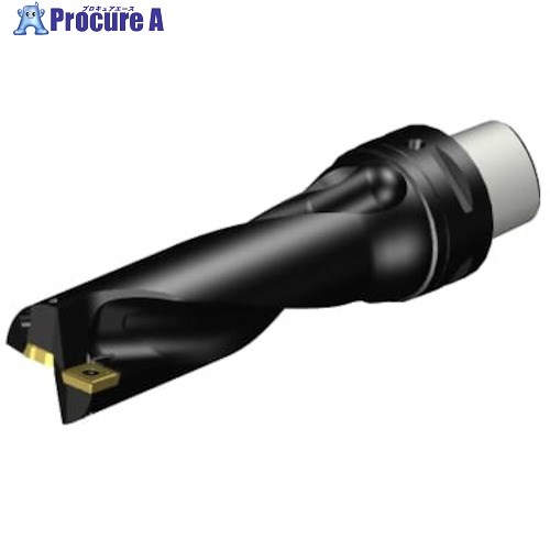 SANDVIK コロドリル880(スーパーUドリル) 刃先交換式ドリル38.1 (465) A880-D1500C5-03 (465) 1本 ■▼313-2687 【送料都度見積】 ●KO521｜プロキュアエース