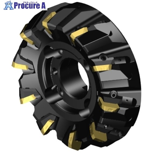SANDVIK コロミル360 正面フライスカッター(450) A360-203R63-Z10E28 (450) 1台 ■▼313-4246 【送料都度見積】 ●KO521