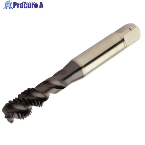 SANDVIK コロタップ300 渦巻き水道栓M10X1.5(780) E050M10 (780) 1本 ■▼314-2291 【貨物輸送都度積もり書き】 ●KO521