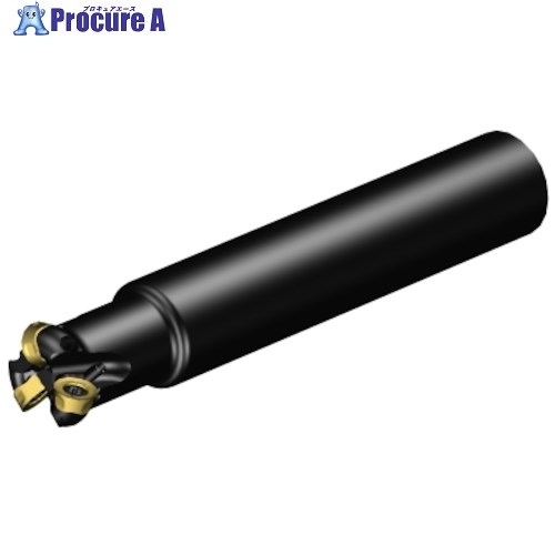 SANDVIK コロミル600 向こう正面フライス切り手(440) A600-025O25-10H (440) 1台 ■▼314-8855 【貨物輸送都度積もり書き】 ●KO521
