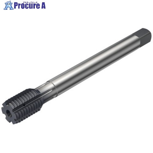 SANDVIK コロタップ400 転造水道栓(780) N1BC T400-NM110DB-M12X150  N1BC 1個 ■▼580-9276 【貨物輸送都度積もり書き】 ●KO521