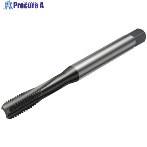 SANDVIK コロタップ100 引っ切り無い水道栓(780) N1PR T100-NM102JB-M4X050  N1PR 1個 ■▼581-0921 【貨物輸送都度積もり書き】 ●KO521