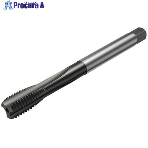 SANDVIK コロタップ100 ストレートタップ(780) N1PR T100-NM107DB-M6X075 N1PR 1個 ■▼581-2525 【送料都度見積】 ●KO521