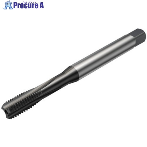 SANDVIK コロタップ100 引っ切り無い水道栓(780) N1PR T100-NM106JA-M6  N1PR 1個 ■▼581-2560 【貨物輸送都度積もり書き】 ●KO521