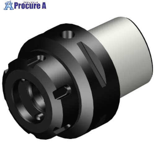 SANDVIK コロマントキャプト MDIアダプタ(530) C6-DM20-N-033 (530) 1個 ■▼313-7393 【送料都度見積】 ●KO521