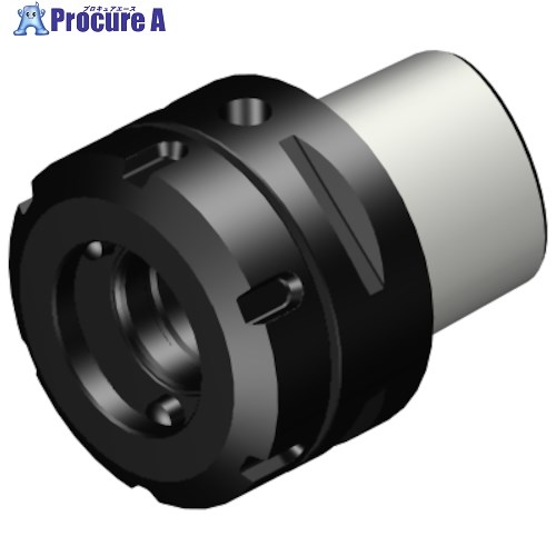 SANDVIK コロマントキャプト MDIアダプタ(530) C6-DM25-N-030 (530) 1個 ■▼314-2105 【送料都度見積】 ●KO521