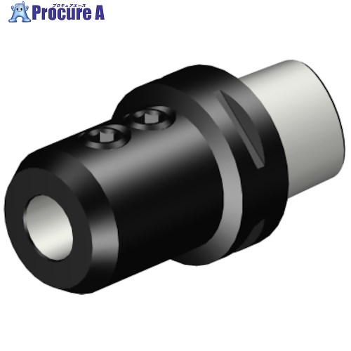 SANDVIK コロマントキャプト ウェルドンアダプタ(530) C6-A391.20-22 080 (530) 1個 ■▼314-3732 【貨物輸送都度積もり書き】 ●KO521 その他-花・ガーデン・DIY