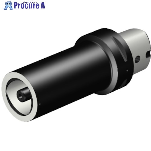 SANDVIK コロマントキャプト 引き下げアダプター(530) C10-391.02-80 200 (530) 1個 ■▼314-9882 【貨物輸送都度積もり書き】 ●KO521