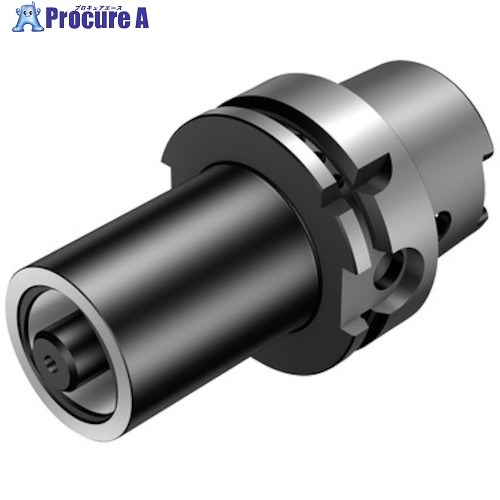 SANDVIK コロマントキャプトアダプタ(530) HT10-C6-063-110 1個 ■▼567-3892 【送料都度見積】 ●KO521