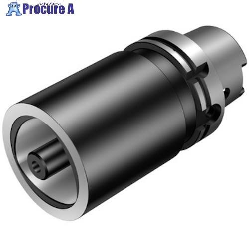 SANDVIK HSK コロマントキャプトアダプタ(530) HT04-C4-040-075 1個 ■▼632-9417 【送料都度見積】 ●KO521 45,467円