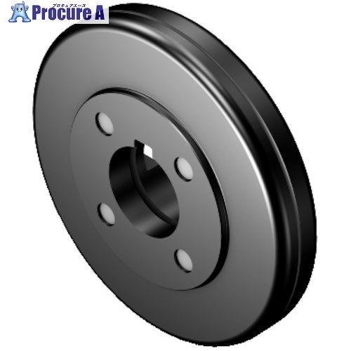 SANDVIK アーバ用圧力レコード盤 運転ねじ釘付(540) 5549 201-171 (540) 1個 ■▼312-9379 【貨物輸送都度積もり書き】 ●KO521