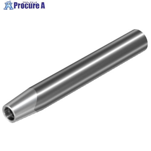 SANDVIK 円筒シャンク コロマントEHアダプタ(445) AE16-A19-CE-065 (445) 1個 ■▼313-1022 【送料都度見積】 ●KO521