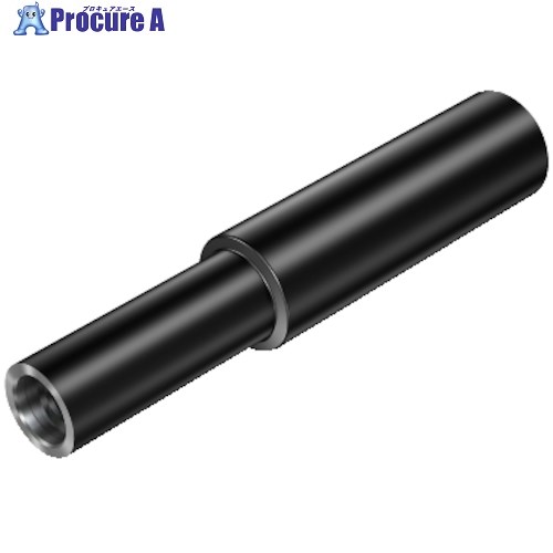 SANDVIK 円筒シャンク コロマントEHアダプタ(445) AE20-A19-SS-045 (445) 1個 ■▼313-2695 【送料都度見積】 ●KO521