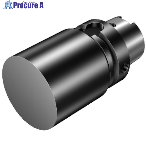 SANDVIK HSKカップリング付き添い人空白文字(540) 392.41050-100104250A (540) 1個 ■▼313-5701 【貨物輸送都度積もり書き】 ●KO521