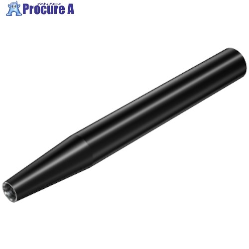 SANDVIK 円筒シャンク コロマントEHアダプタ(445) AE10-A16-CS-055 (445) 1個 ■▼314-8387 【送料都度見積】 ●KO521