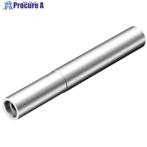 SANDVIK 円筒シャンク コロマントEHアダプタ(445) AEH20-A19-SH-160 (445) 1個 ■▼314-9971 【送料都度見積】 ●KO521