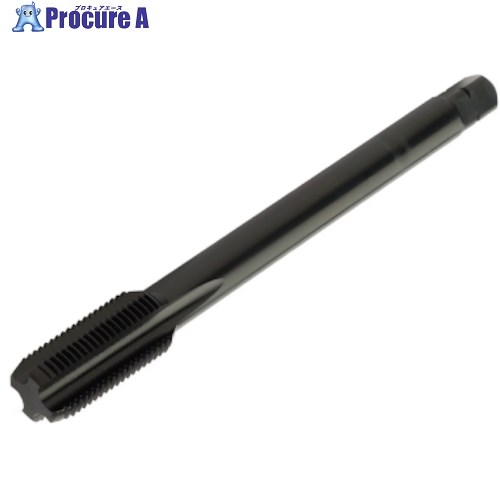 SANDVIK コロタップ100 ストレートタップ(780) E4161 (780) 1本 ■▼313-2723 【送料都度見積】 ●KO521