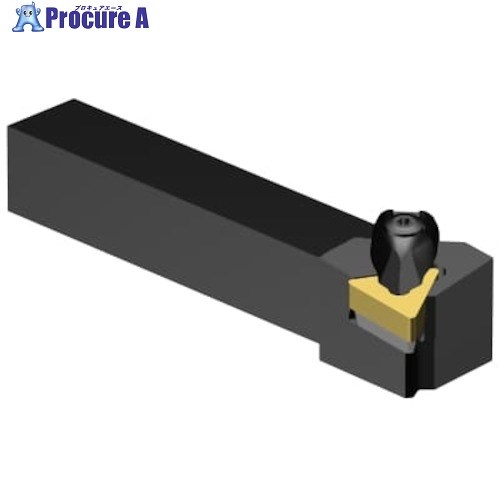 SANDVIK T-Max P 旋削加工用シャンクバイト(410) DTGNL 10 3A (410) 1本 ■▼314-0538 【貨物輸送都度積もり書き】 ●KO521 その他-手動工具-花・ガーデン・DIY