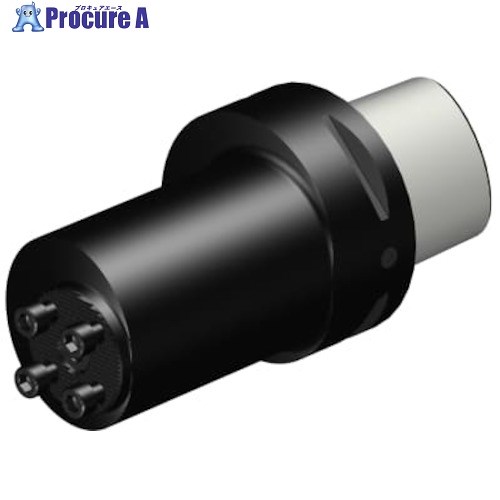 SANDVIK コロマントキャプト コロターンSLアダプタ(410) C8-570-2C 60 125-40R (410) 1個 ■▼314-0601 【送料都度見積】 ●KO521｜プロキュアエース 58,705円