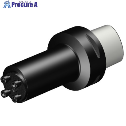 SANDVIK コロマントキャプト コロターンSLアダプタ(410) C8-570-2C 50 133-40R (410) 1個 ■▼314-3666 【送料都度見積】 ●KO521｜プロキュアエース