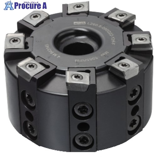 SANDVIK 組付アイテム(810) L260.8-245-12 (810) 1個 ■▼314-9178 【送料都度見積】 ●KO521
