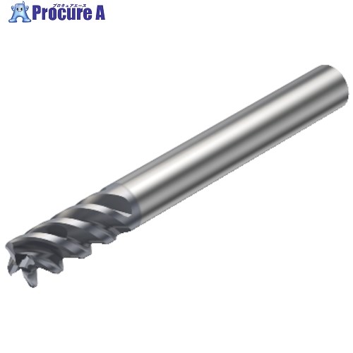 SANDVIK コロミルプルーラ 兼ね合いしたマルチフライス工業用超硬エンドミル(730) 1620 RA216.23-1250BAK06H 1620 (730) 1本 ■▼314-9869 【貨物輸送都度積もり書き】 ●KO521