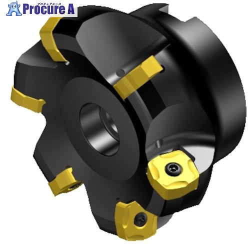 SANDVIK コロミル365 正面フライスカッター(450) RA365-063R19-S15H (450) 1台 ■▼315-0440 【送料都度見積】 ●KO521