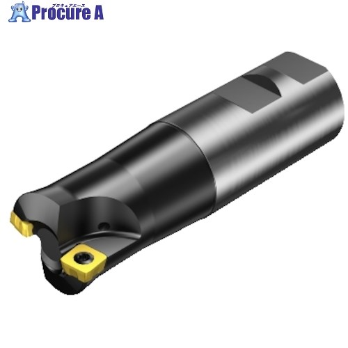 SANDVIK コロミル210 正面フライスカッター(450) RA210-032M32-09M (450) 1台 ■▼315-0468 【送料都度見積】 ●KO521 37,338円