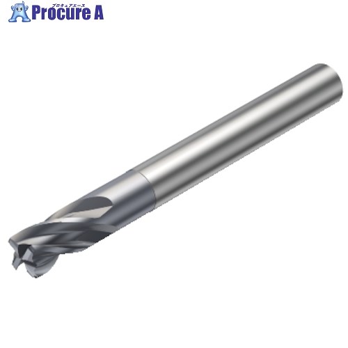 SANDVIK コロミルプルーラ 高硬度フライス工業用超硬エンドミル(730) 1610 RA216.24-1030BAK02G 1610 (730) 1本 ■▼315-0545 【貨物輸送都度積もり書き】 ●KO521