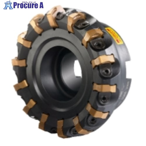 SANDVIK コロミル365 向こう正面フライス切断機(450) RA365-127R38-W15H (450) 1台 ■▼315-1839 【貨物輸送都度積もり書き】 ●KO521