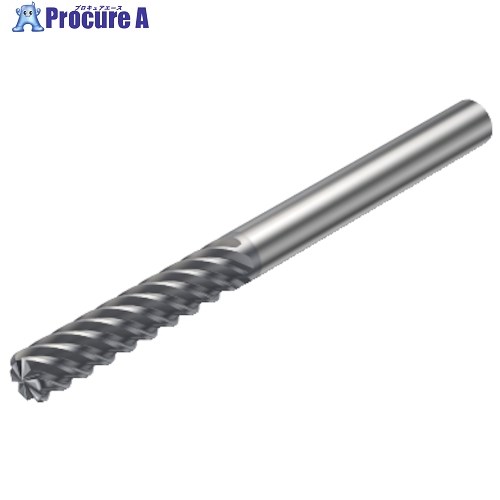 SANDVIK コロミルプルーラ 完成工業用超硬エンドミル(730) 1620 RA215.24-0450AAK13L 1620 (730) 1本 ■▼315-1868 【貨物輸送都度積もり書き】 ●KO521
