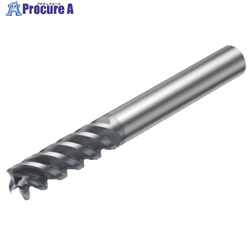 SANDVIK コロミルプルーラ 兼ね合いしたマルチフライス工業用超硬エンドミル(730) 1620 RA216.23-1250AAK09P 1620 (730) 1本 ■▼315-1892 【貨物輸送都度積もり書き】 ●KO521