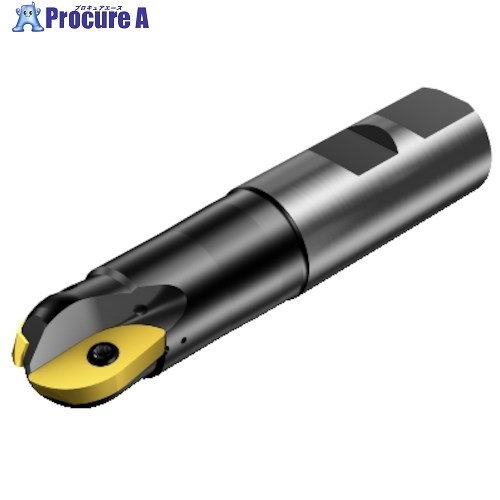 SANDVIK コロミル216 ボールエンドミル(440) RA216-51M51-127 (440) 1本 ■▼315-2496 【貨物輸送都度積もり書き】 ●KO521