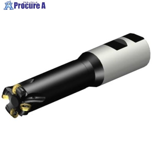 SANDVIK コロミルCoroMill[[R上]]300 プロファイルフライス加工用カッター(440) RA300-032M32-09H (440) 1台 ■▼315-3870 【送料都度見積】 ●KO521｜プロキュアエース