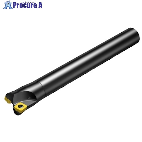 SANDVIK コロミルCoroMill[[R上]]210 高送りフライス加工用カッター(450) RA210-038O32-09H (450) 1台 ■▼315-3905 【送料都度見積】 ●KO521｜プロキュアエース