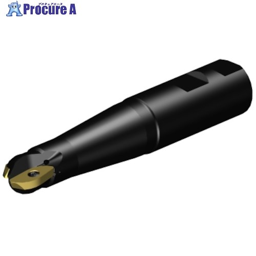 SANDVIK コロミルCoroMill[[R上]]216 プロファイルフライス加工用カッター(440) RA216-19M25-076 (440) 1本 ■▼315-3936 【送料都度見積】 ●KO521｜プロキュアエース