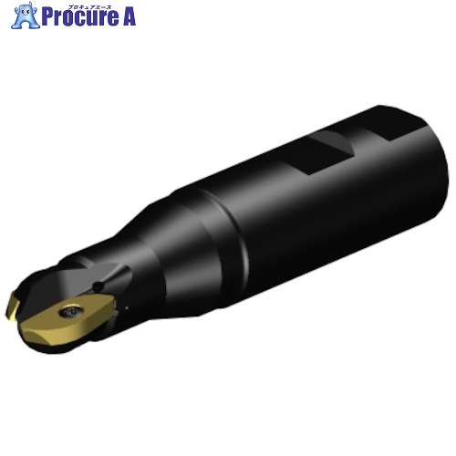 SANDVIK コロミルCoroMill[[R上]]216 プロファイルフライス加工用カッター(440) RA216-19M25-051 (440) 1本 ■▼315-4545 【送料都度見積】 ●KO521｜プロキュアエース