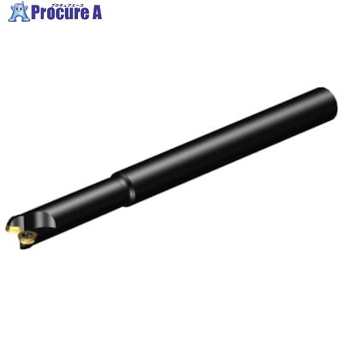 SANDVIK コロミル300 正面フライスカッター(440) RA300-019O19L-10L (440) 1台 ■▼315-4558 【送料都度見積】 ●KO521