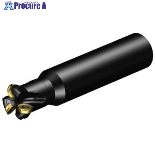 SANDVIK コロミルCoroMill[[R上]]300 プロファイルフライス加工用カッター(440) RA300-032O32-13H (440) 1台 ■▼315-5265 【送料都度見積】 ●KO521｜プロキュアエース 39,658円