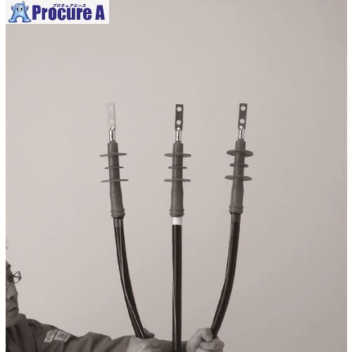 3M 関東御機嫌-K期間II-EM(屋外用)CVT100SQ用一揃いの道具 T6SB-R3-O100-EM 1S ▼161-3045