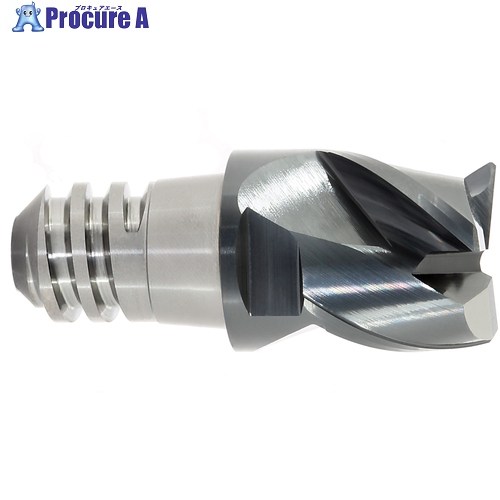 MAPAL CPMill-Steel-HPC 「CPM110」 CPM110-1000Z03-F0020-08-HP383 1本 ▼775-4833