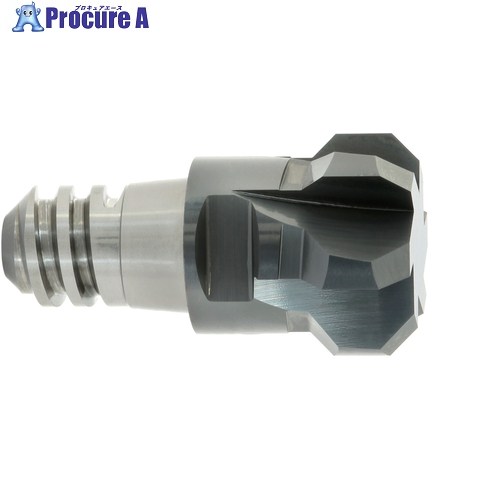 MAPAL CPMill-Chamfer-Twin 「CPM190」 CPM190-1600Z06-F0200-10-HP383 1本 ▼775-5198