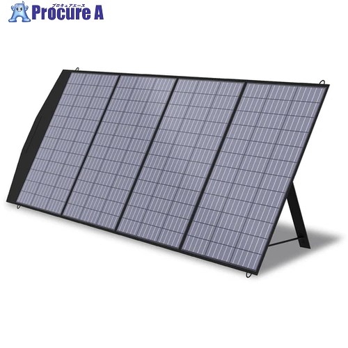 REX ポータブル電源用ソーラーパネル PB-ASP-200 410050 1台 ▼694-9620